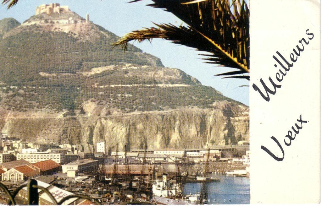 ORAN VUE DEPUIS LA PROMENADE DE L  ETANG.JPG
